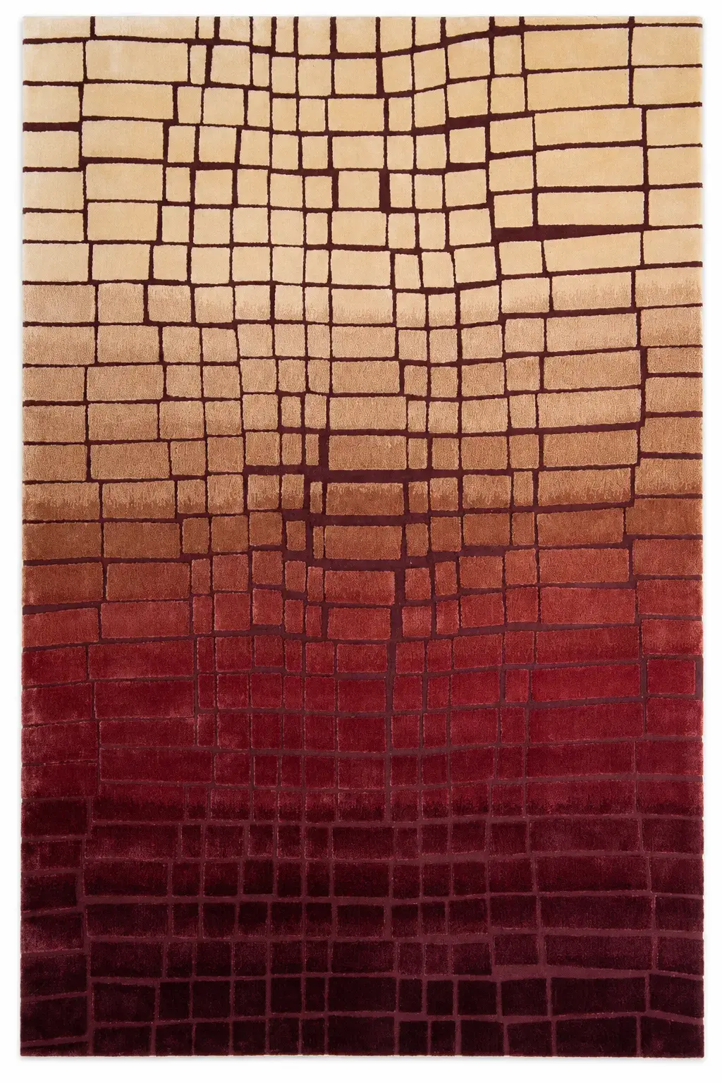 Lucia Rug, hand-tufted soft ombre rug, full view